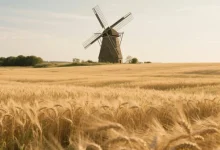 使用VMware 虚拟机安装群晖体验DSM6.2系统-内网-新憧憬