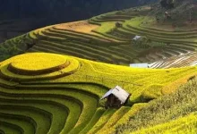 DUX模版修改网站下方版权信息方法-内网-新憧憬