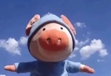 WordPress第三篇，插件模板-内网-新憧憬