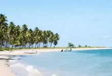 WordPress第四篇，优缺点-内网-新憧憬