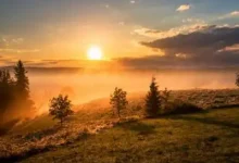 WordPress第六篇，建站流程-内网-新憧憬