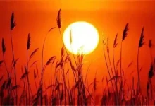 WordPress第七篇，版本介绍-内网-新憧憬