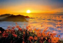 WordPress第八篇，相关信息-内网-新憧憬